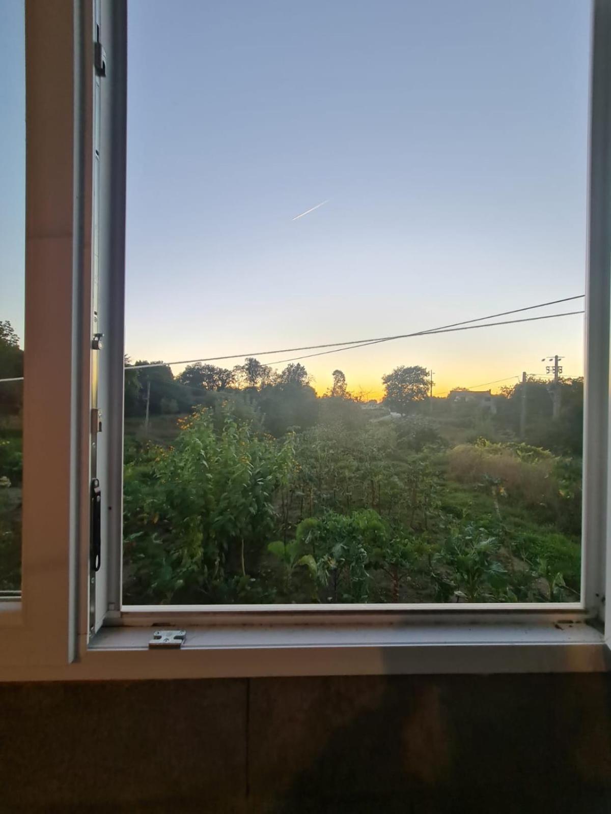 Apartamento T2 Zona Rural Vila Nova de Paiva Exteriör bild