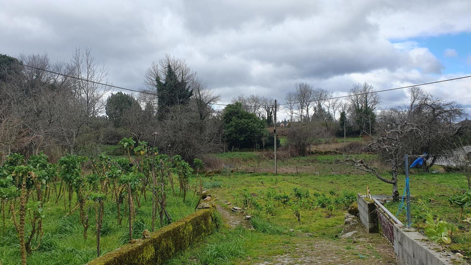 Apartamento T2 Zona Rural Vila Nova de Paiva Exteriör bild